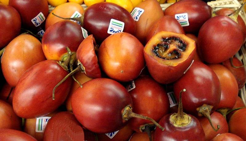 tamarillo